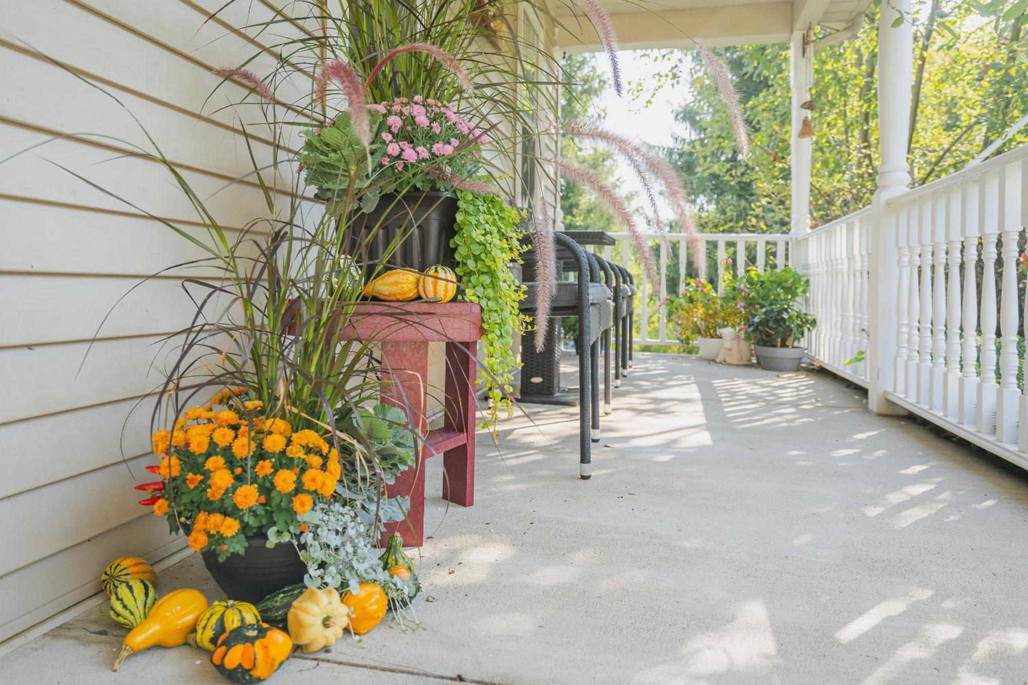 Bed and Breakfast Old Town Country Landing Niagara-on-the-Lake Zewnętrze zdjęcie