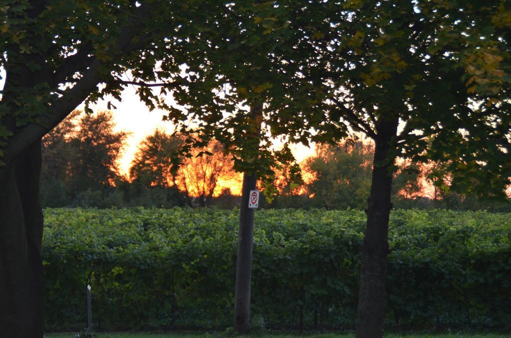 Bed and Breakfast Old Town Country Landing Niagara-on-the-Lake Zewnętrze zdjęcie